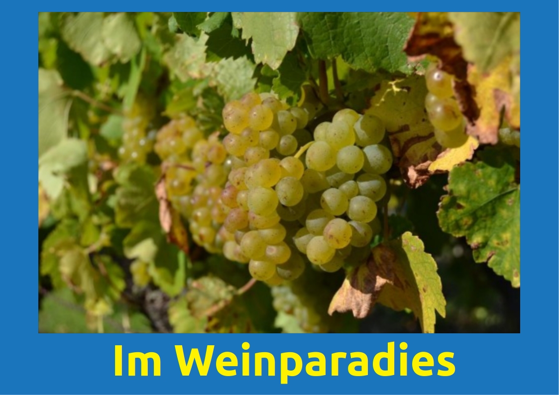 93weinparadies