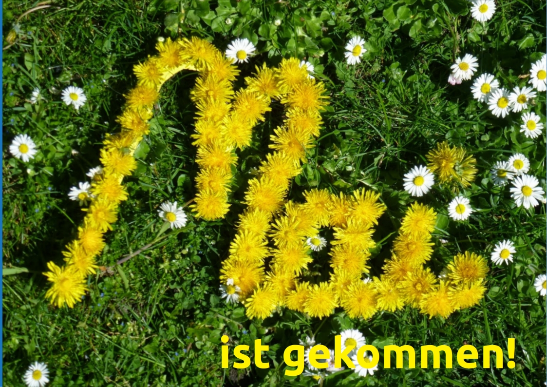 97mai